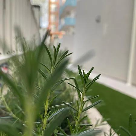 Apartment Marina Garden Cattolica