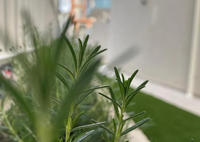 Apartment Marina Garden Cattolica